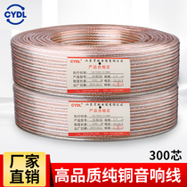 Pure copper speaker cable Speaker cable Audiophile cable special cable Professional audio cable cable 300 2*150 cores