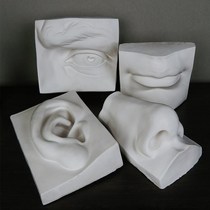 Drawing material art examination set of David plaster Five official Plaster Statue of Real Facial Earthen Nose Mouth Model Vegan Sketch Sketch figure Sculpture Statue figurines Figurines Swaying pieces