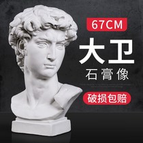 David Plaster Statue 67CM Large number of sketches plaster Head Sculpture School Static Equipment Wholesale Sketchbook Chest like Eurostyle Decorative Pendulum plaster Like a fine art teaching aid