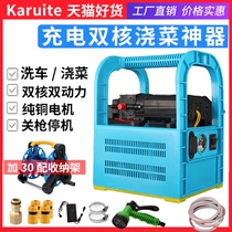 Charging water pump portable household outdoor watering vegetable rechargeable pump 12V small pumping machine medicine pump