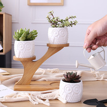 zakka creative multi-meat basin ceramic basin small flat round bamboo frame small flower pots moonwheel owl multimeat plant basin
