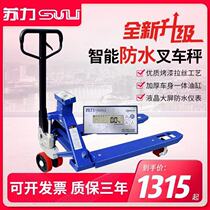  Electronic forklift scale 1t2T3 tons manual hydraulic loadometer with electronic scale weighing truck 2 tons loadometer forklift scale