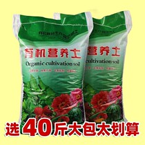 Plant flower special dietitian universal large bag 40 catty for home nurturation and soil turquoi cultivation of soil