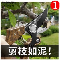 Potted Fruit tree pruning flower scissors gardening scissors pruning shears pruning branches special garden scissors flower art tool pliers