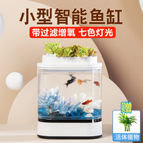Painting geometry office ecological mini lazy Betta fish tank small desktop exquisite desk green plant