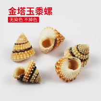 Natural conch shell golden tower Jade snail hermit crab replacement shell fish tank landscape collection ornaments specimen small tower snail