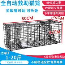 Fully automatic cat-catching cat-catching cat-catching cat-catching-cat-catching artifact humanitarian assistance cat-catching-cat-catching-cat-catching artifact