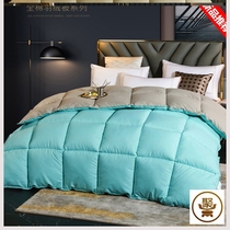 Winter quilt duvet 95 white goose down Hotel air conditioning summer cool thin quilt Spring and autumn quilt core Winter quilt thickened double four-season quilt