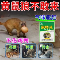 Weasel repelling artifact poultry farming is not afraid of chicken coop chicken anti-weasel nemesis special medicine for repelling weasels