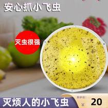 Household small flying insect killing artifact sticky insect extinguishing lamp moth sticking moth Midge indoor fly mosquito trap