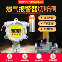Industrial and commercial natural gas gas gas alarm electromagnetic automatic emergency shut-off valve explosion-proof DN25 40 50