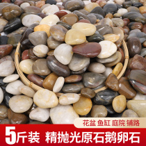 5kg cobblestone paving courtyard garden landscaping natural size stone rain flower stone raw stone goose warm stone
