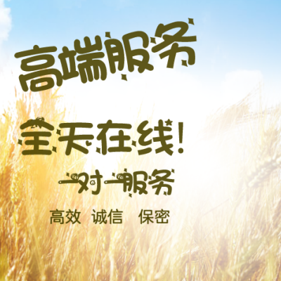 High-end service English English article customization all kinds of article writing modifications