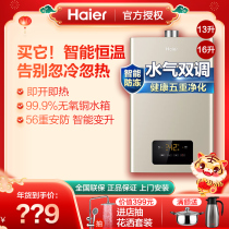 Haier Gas Water Heater 13L Gas 16l Natural Gas Electric Household Constant Temperature Strong Exhaust Natural Gas Strong Exhaust Type