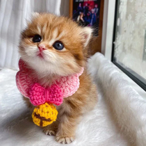 Pet Accessories Cat Dog Weaving Collar Cat Cute Bib Knit Scarf Neck Decoration Bib Teddy