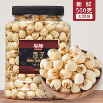 New lotus seeds 500g canned manual core White Lotus artificial selection of sulfur-free to core Xianglian white lotus seeds dry goods