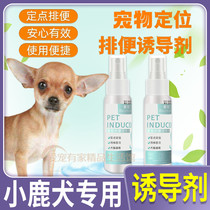 Tea cup dog special such as toilet pooch-inducing agent dog defecating on the toilet and defecating the toilet and then urinating