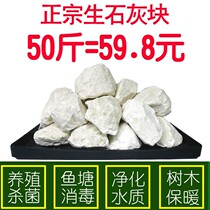 Fish pond disinfection quicklime block agricultural farm vegetable brush tree purification water quality disinfection lime powder 50kg dry