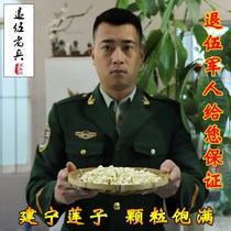 Fujian authentic Jianning Tongxin lotus seed farm handmade self-produced fresh white lotus seeds to the core dry goods 500g