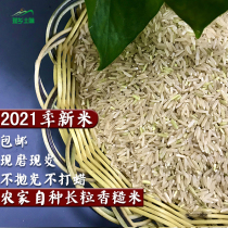 2021 brown rice new rice 5kg Hunan farmers self-planted non-three-color fitness low-fat brown rice grain rice
