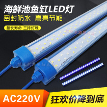 Seafood pond LED lighting fish tank 220V energy-saving waterproof light fish pond PVC tube