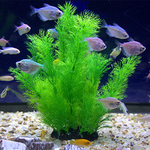 Fish tank landscaping decoration simulation aquatic plants plastic aquatic plants fake aquatic plants soft green plants aquarium fish grass