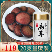 Deer flute red pink slice blood antler dry tablet authentic Jilin sika deer gift box northeast specialty non 500g male soak wine