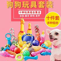 Dog toys bite-resistant puppies molars golden hair Teddy Tedy dog toys set pet supplies screaming chicken