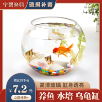 Small fish tank living room small turtle goldfish tank desktop creative turtle household hydroponic utensils plant flower pot container