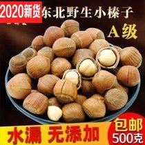 Northeast Teryield hazelnut A grade original taste opening New cargo iron Ridge small hazelnut nut pregnant woman dried fruit 500g