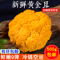 Yunluyuan fresh golden ear fungus 500g Yunnan specialty edible fungus brain ear yellow ear fungus non-wild dry goods