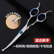 Novice safety pet beauty scissors for dogs special hairdressing bending and dog hair cutting tool set professional hair cutting artifact