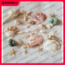 Shooting conch starfish material bag diy handmade background wind chimes shell fish tank ornaments