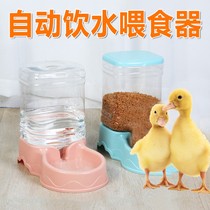 Duck Auto Feeder Small Duck Chicken Goose Eating Bowl Pet Köll Duck Trough Feeding Water Feeder