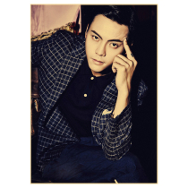 William Chan poster customization A total of 226 models full of 13 free shipping vintage A3 hanging picture a3a02a04