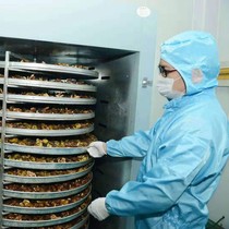 Large commercial tea food dryer fruit red mushroom honeysuckle pepper seafood pepper sausage dryer