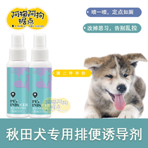 Akita dogs special dog defecation and defecation inducer