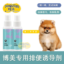 Pomeranian pet inducer defecation toilet guide artifact Pomeranian dog fixed-point defecation