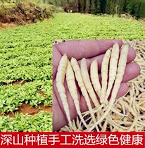Radix Pseudostellariae 500g Childrens Ginseng Tea Natural Pure Zherong Childrens Traditional Chinese Medicine Authentic Wild Wild Dry Three Powder