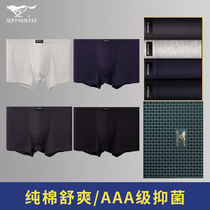 Seven wolves mens underwear mens flat corner pants pure cotton loose big code shorts Young antibacterial and bacteriostatic pure cotton flat corner pants