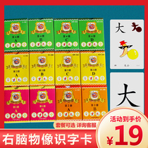 Right brain image literacy card pictographic view literacy children early education learning card 2-8 year old children fun learning card