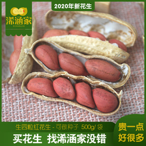 21 years red peanut new product 5kg four red fresh sun-dried red peanut original shell peanut