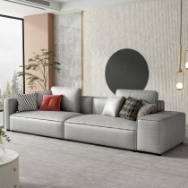 Fabric sofa modern simple light luxury large and small apartment living room double three people Nordic technology cloth sofa combination