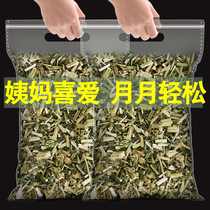 Motherwort Chinese herbal medicine 500g bubble water to drink and warp tea motherwort tea Non-wild fresh dry motherwort red sugar ginger