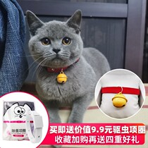 Pet Kitty British Short Term Ring Bell Dogs Small Dogs Teddy Rabbit Cute Multi Lads A Dream Collar Adjustable
