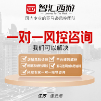 Zhihui Westward Journey Amazon One-to-One Wind Control Consulting Service