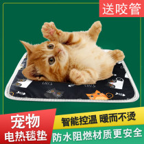 Pet electric blanket thermostatic timing dog heating pad waterproof and anti-electric leakage kitty winter smart warmer