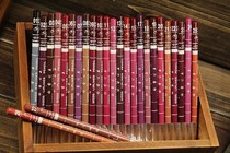 Lip line Pen lipstick painting lip line matte Bite Lip not decolorization waterproof long-lasting female Korean automatic shake