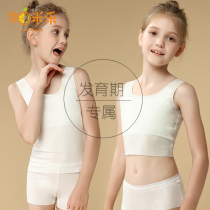 Girlsunderwear hair-raising period Girls bra children Modale teenage boys first stage to wear small vests