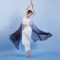 Classical Dance Chinese Dance Ancient Wind Blouse Flutter Ink Black And White Gradient in Long paragraph Tai Chi Dress National Performance Suit